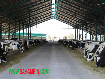 افزایش سرمایه 400 درصدی