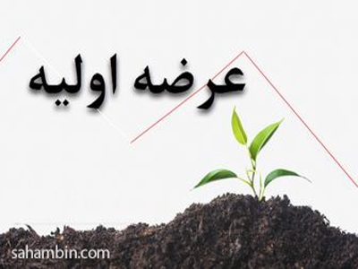 عرضه ی اولیه جدید با شرایط خاص در راه است 