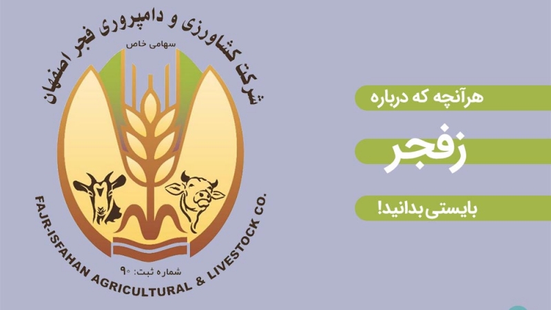 همه چیز در مورد سهام زفجر : از جزئیات عرضه اولیه تا قیمت و ارزش بنیادی