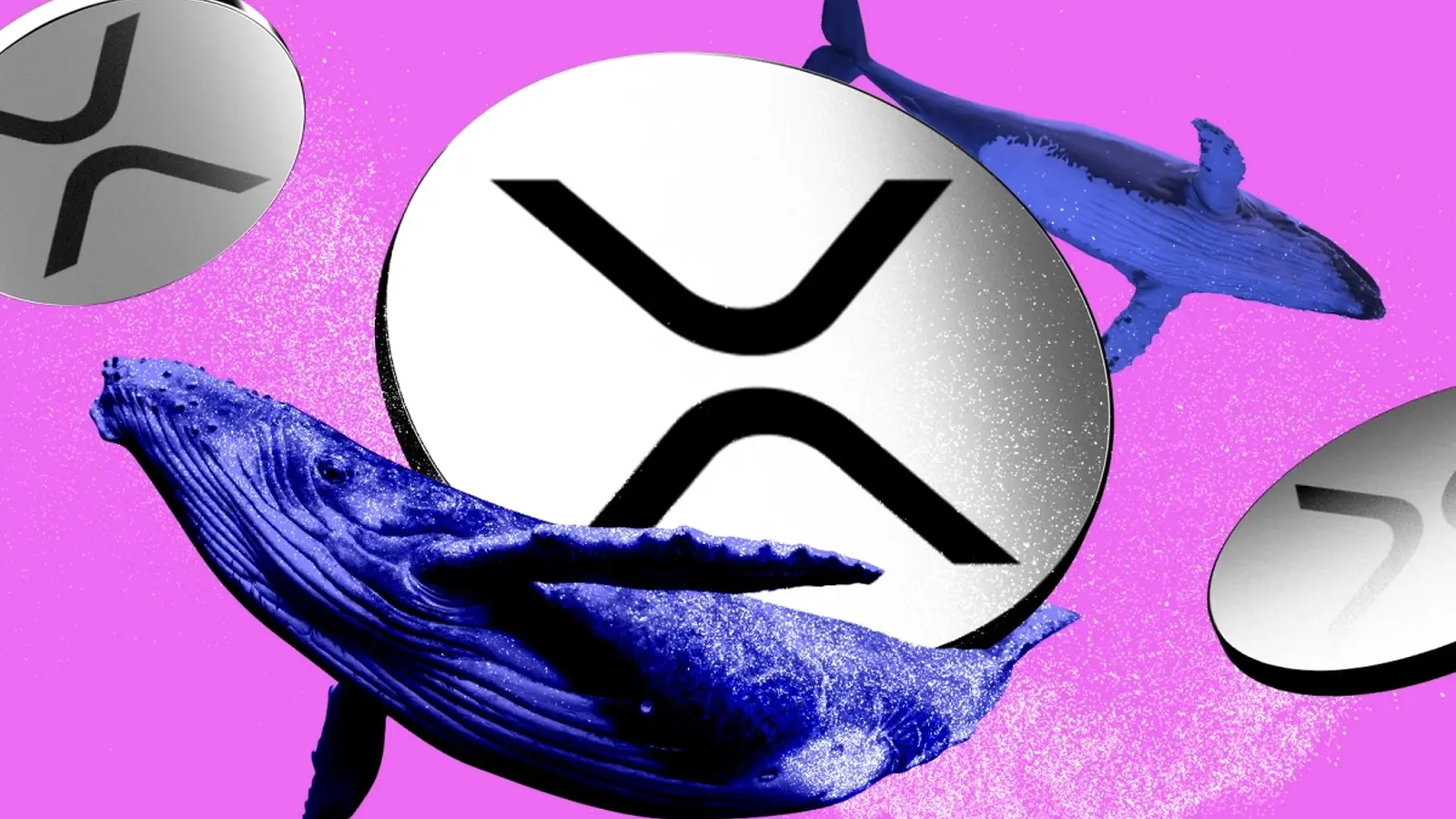 کاهش چشمگیر خروج نهنگ های XRP از بایننس به کف پنج ساله