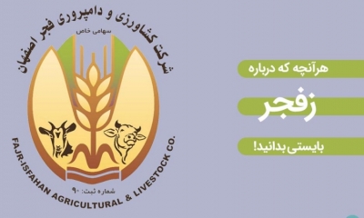 همه چیز در مورد سهام زفجر : از جزئیات عرضه اولیه تا قیمت و ارزش بنیادی