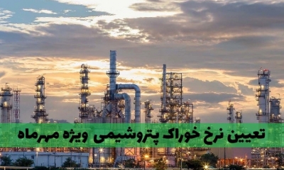تعیین نرخ خوراک پتروشیمی‌ها و شفاف سازی نمادهای مختلف پتروشیمی