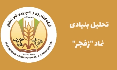 معرفی کامل نماد زفجر و تحلیل بنیادی آن
